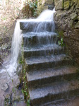FZ001458 Overflowing steps and style.jpg